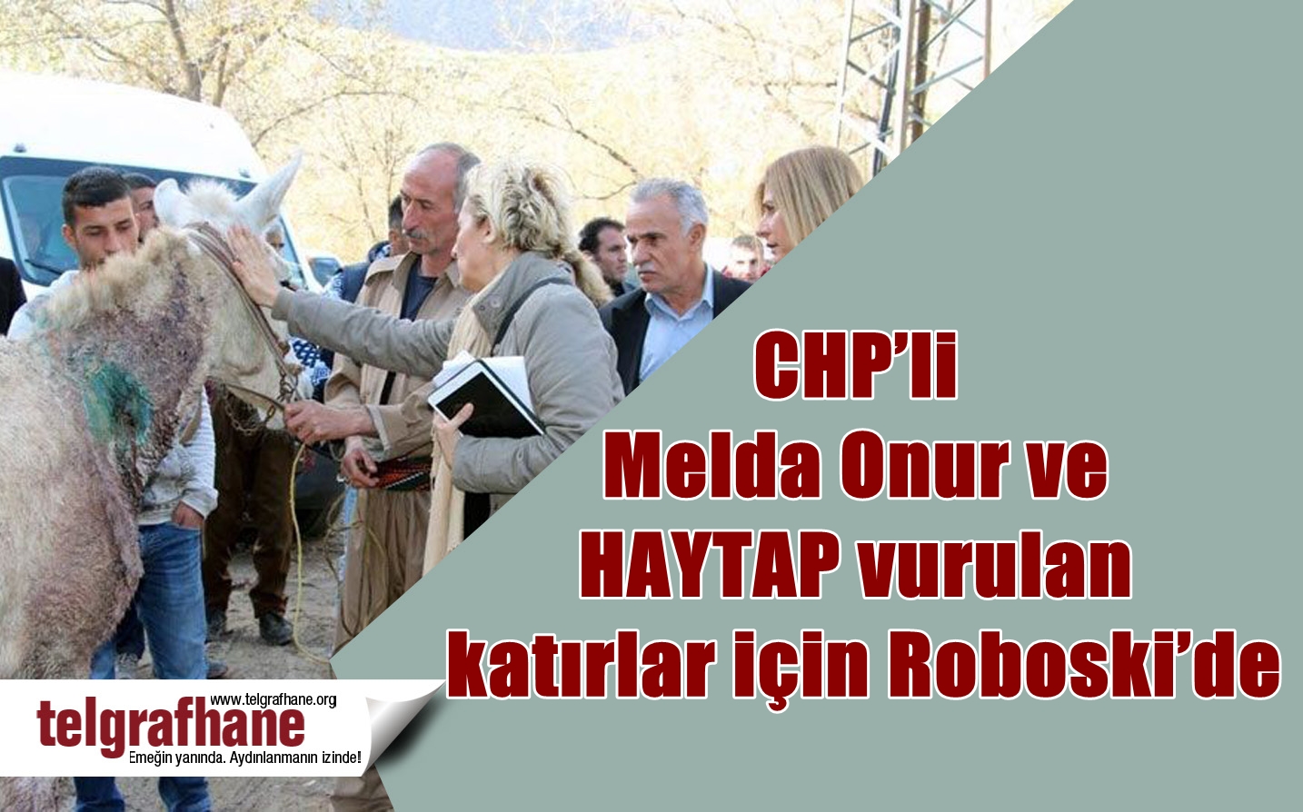 CHP’li Melda Onur ve HAYTAP vurulan katırlar için Roboski’de